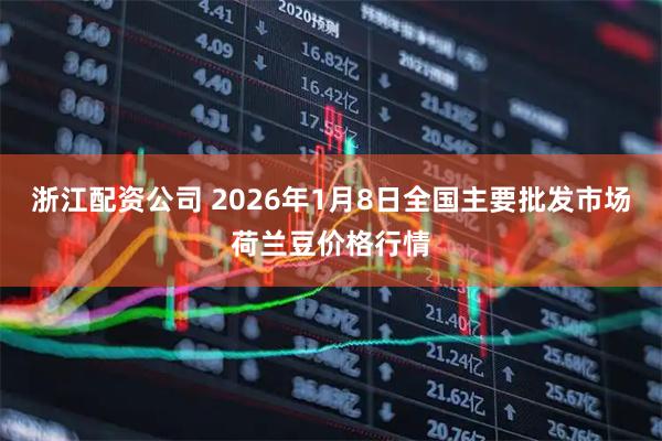 浙江配资公司 2026年1月8日全国主要批发市场荷兰豆价格行情