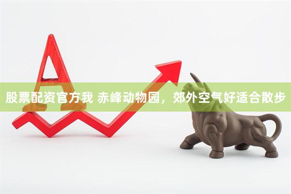 股票配资官方我 赤峰动物园，郊外空气好适合散步
